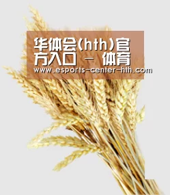 华体会(hth)官方入口 - 体育赛事