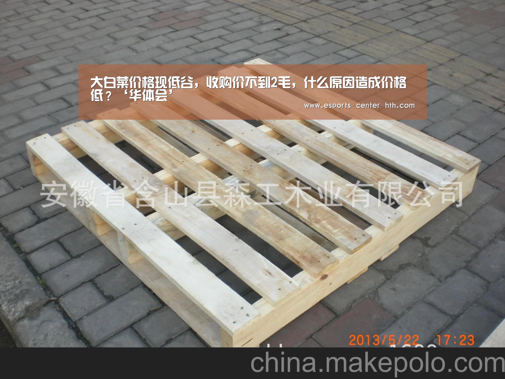 华体会app