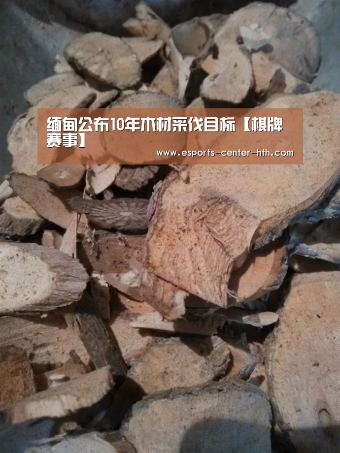 华体会